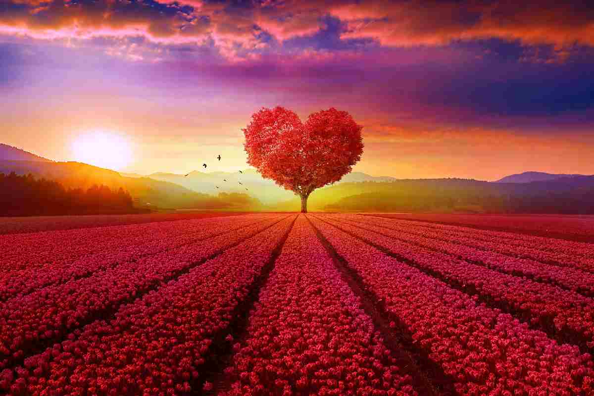 Love Nature Wallpaper Hd For Mobile