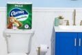 Charmin Ultra Soft Mega Bathroom Tissue 18 Rolls