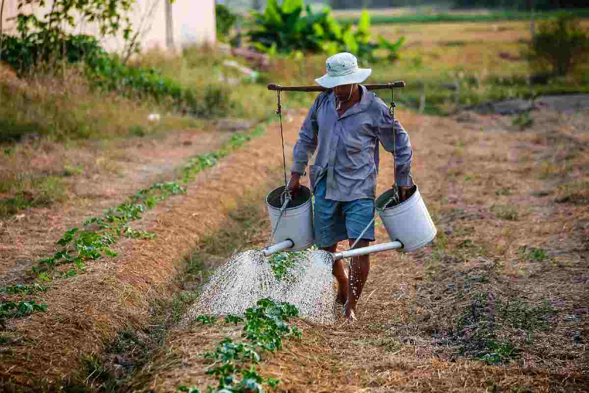 Empowering Rural Communities Through Online Nursing Degrees